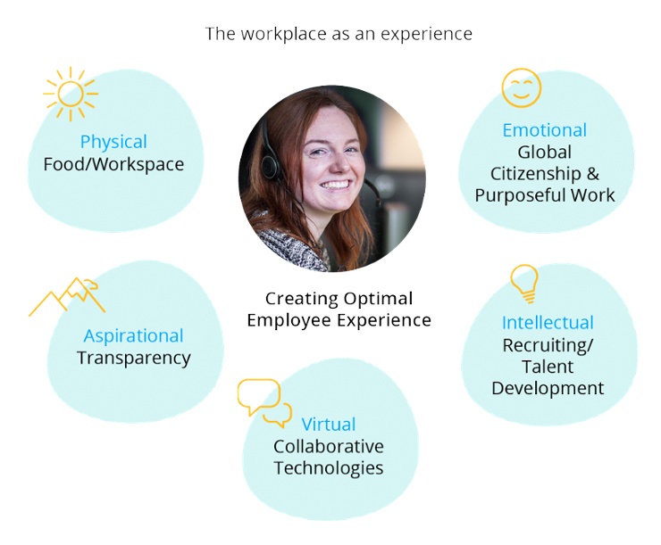 the workplace as experience